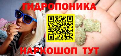 прущие грибы Бугуруслан