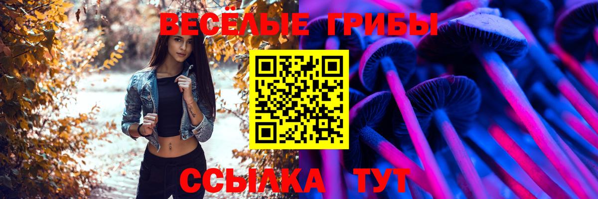 Псилоцибиновые грибы MAGIC MUSHROOMS  Вход с VPN  Псилоцибиновые грибы MAGIC MUSHROOMS  Орск 